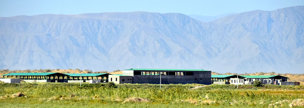  Düýedarçylyk: ýörelgeler we telekeçilik mümkinçilikleri