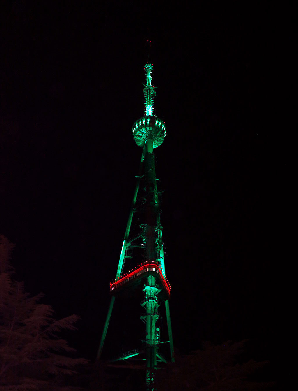 Tbilisi TV tower shines with colours of Turkmen flag