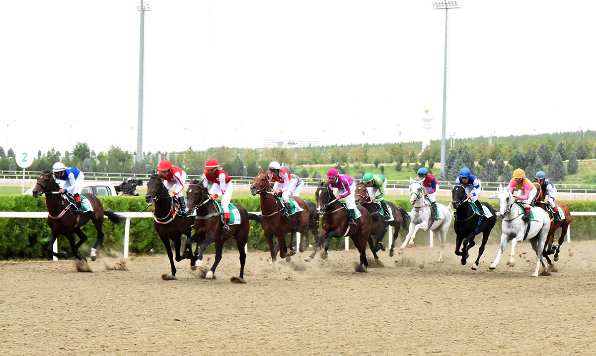 Celebration events are held in International Akhalteke equestrian complex