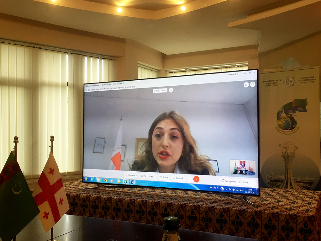 The Embassy of Turkmenistan to Georgia organize webinar dedicated to the 25th anniversary of neutrality of the country and 75th anniversary of the UN