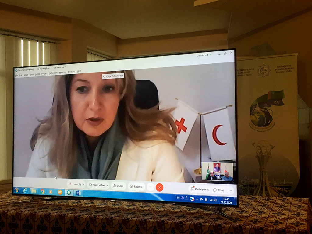 The Embassy of Turkmenistan to Georgia organize webinar dedicated to the 25th anniversary of neutrality of the country and 75th anniversary of the UN