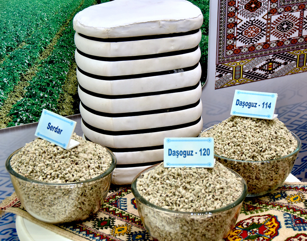 Agricultural Complex: Reforms, innovations, entrepreneurship activity