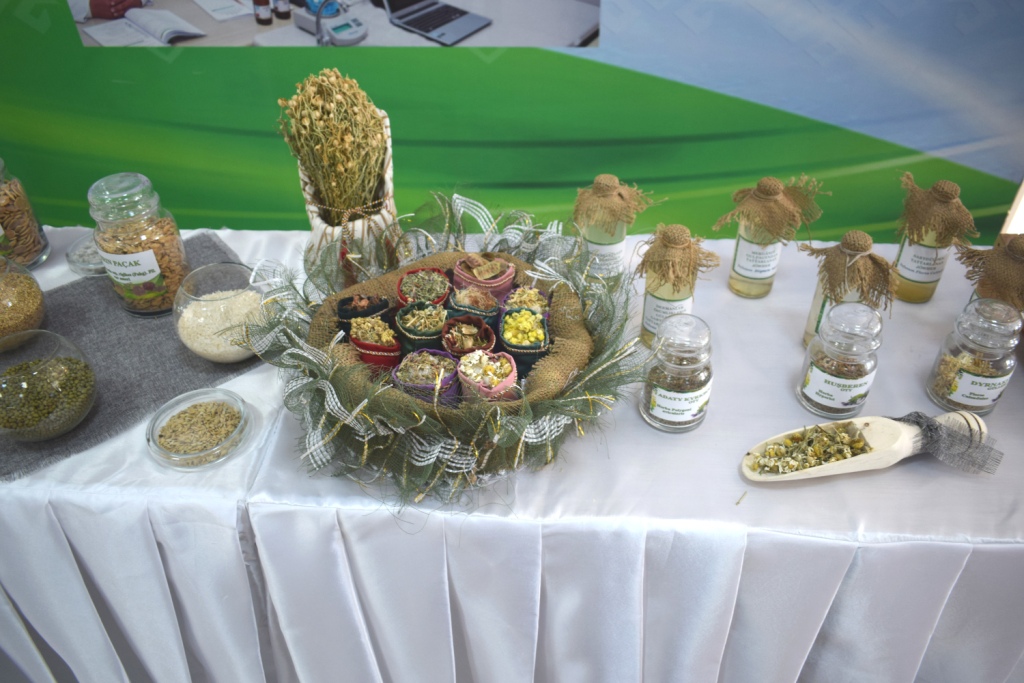 Commemorating 25 Years of Turkmenistan’s Neutrality