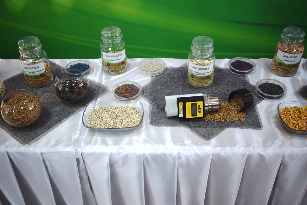 Commemorating 25 Years of Turkmenistan’s Neutrality