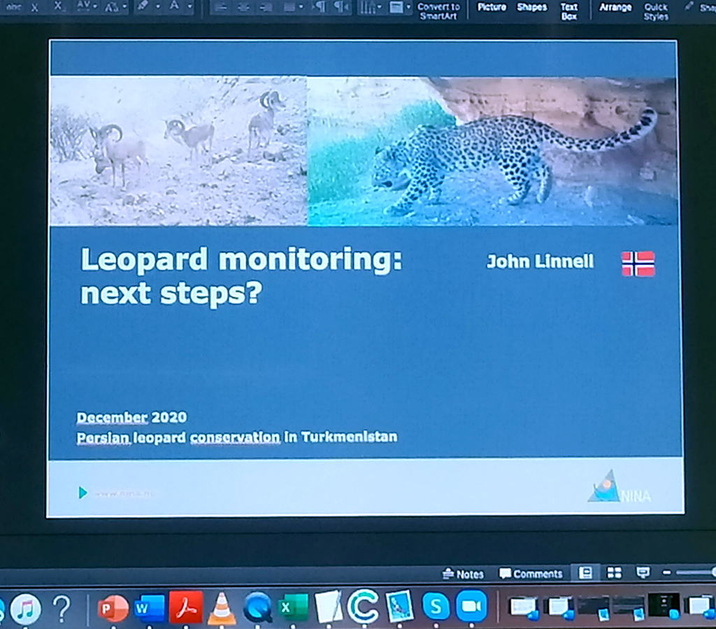 В центре внимания ученых и экспертов - переднеазиатский леопард