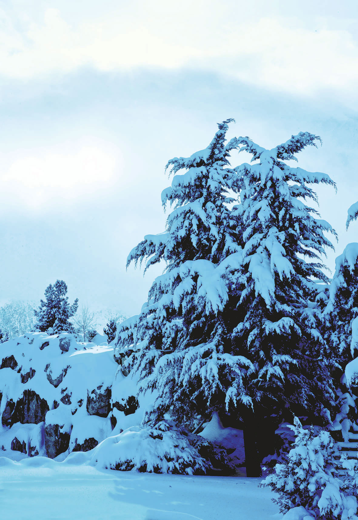 PRESIDENT GURBANGULY BERDIMUHAMEDOV: Beauty of the Motherland’s nature – priceless treasure